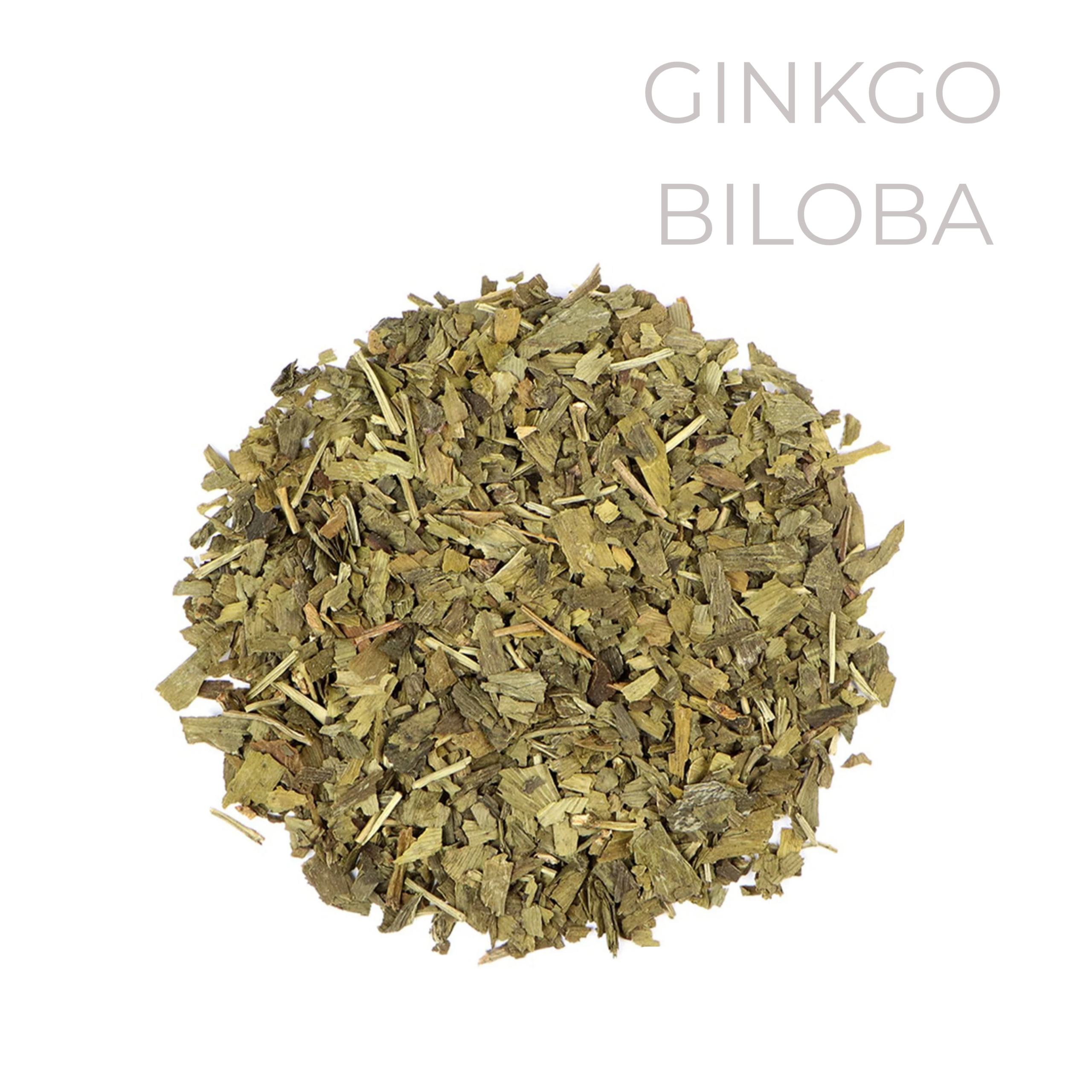 Ginkgo Biloba Βότανο