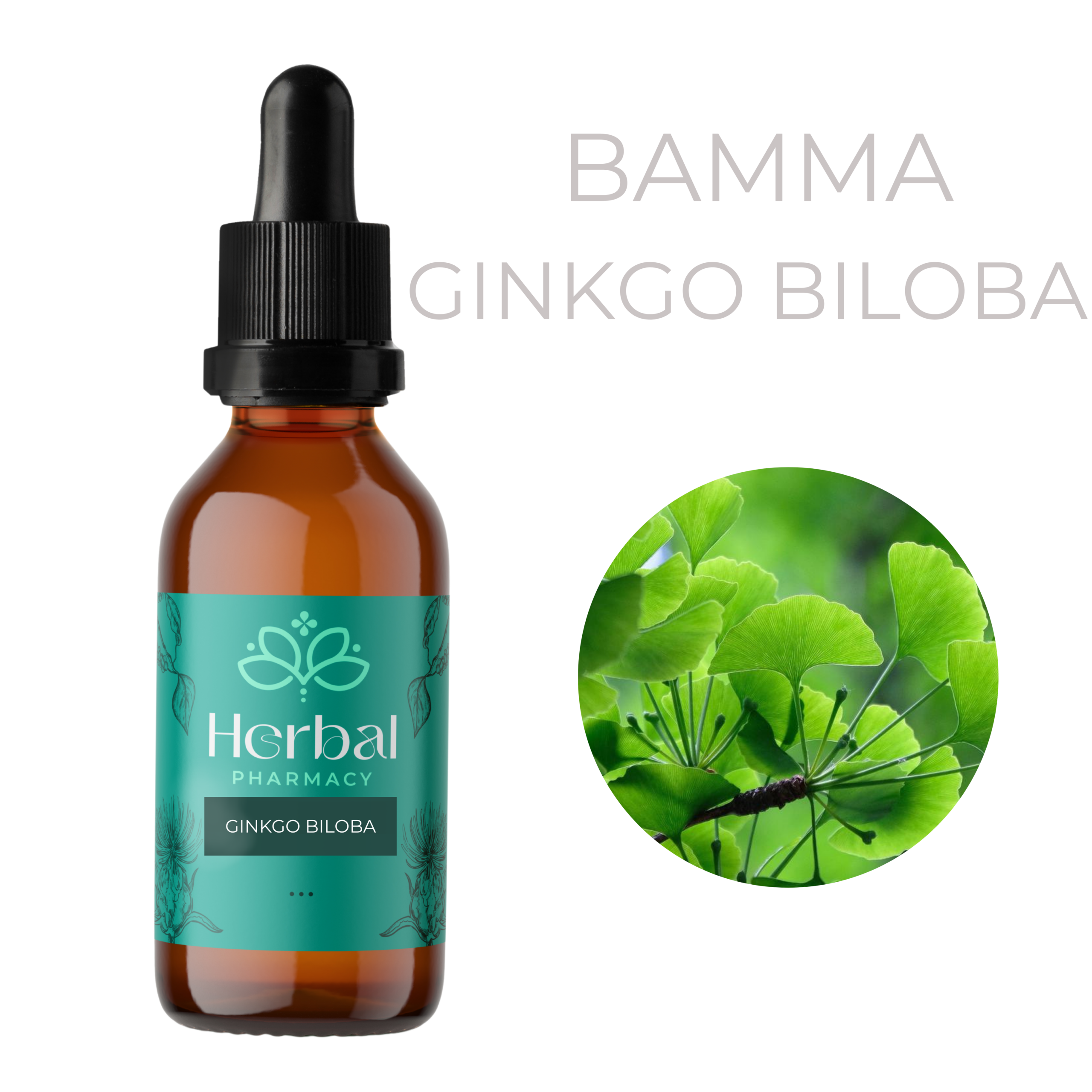 Ginkgo Biloba Βάμμα