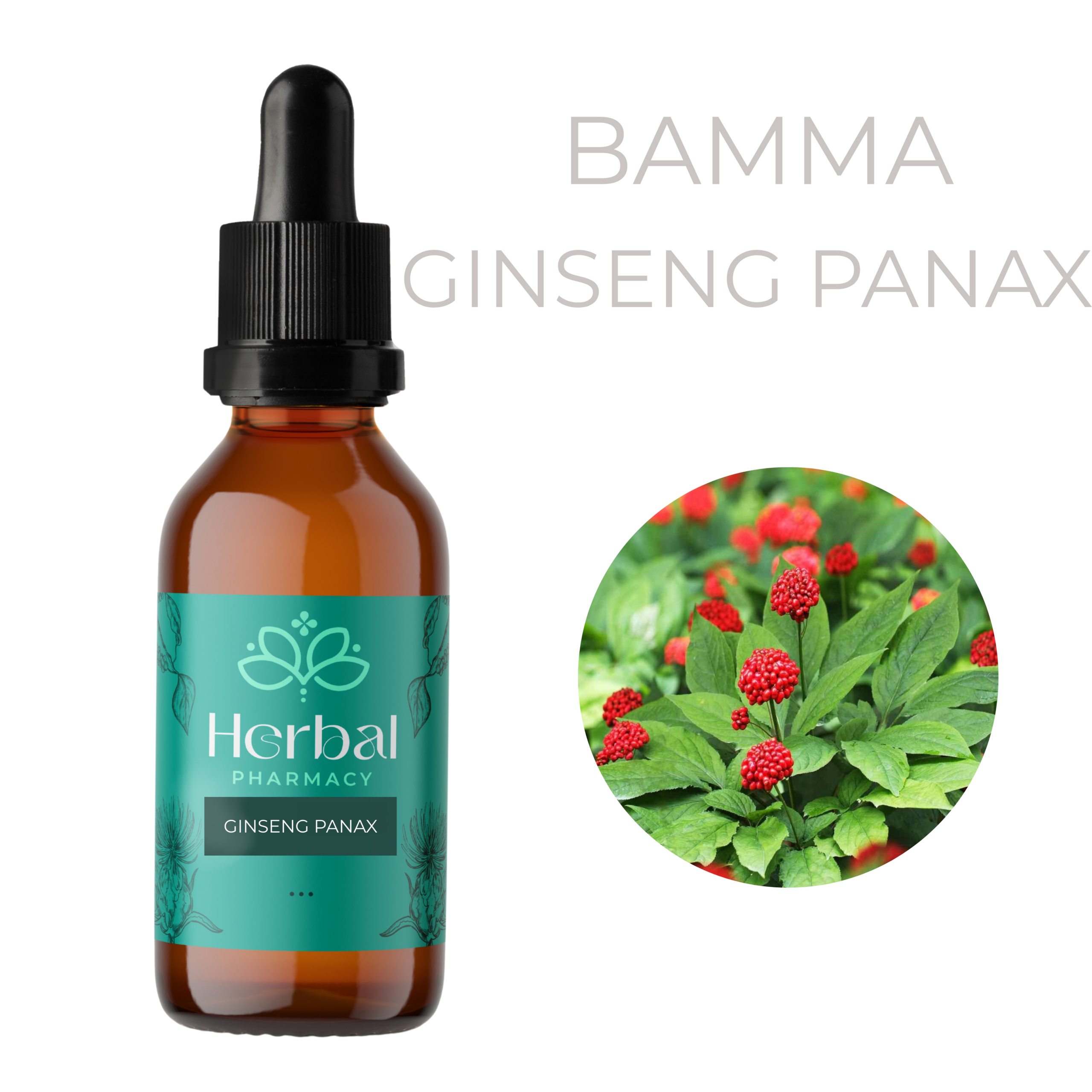 Ginseng (Panax ginseng) Βάμμα