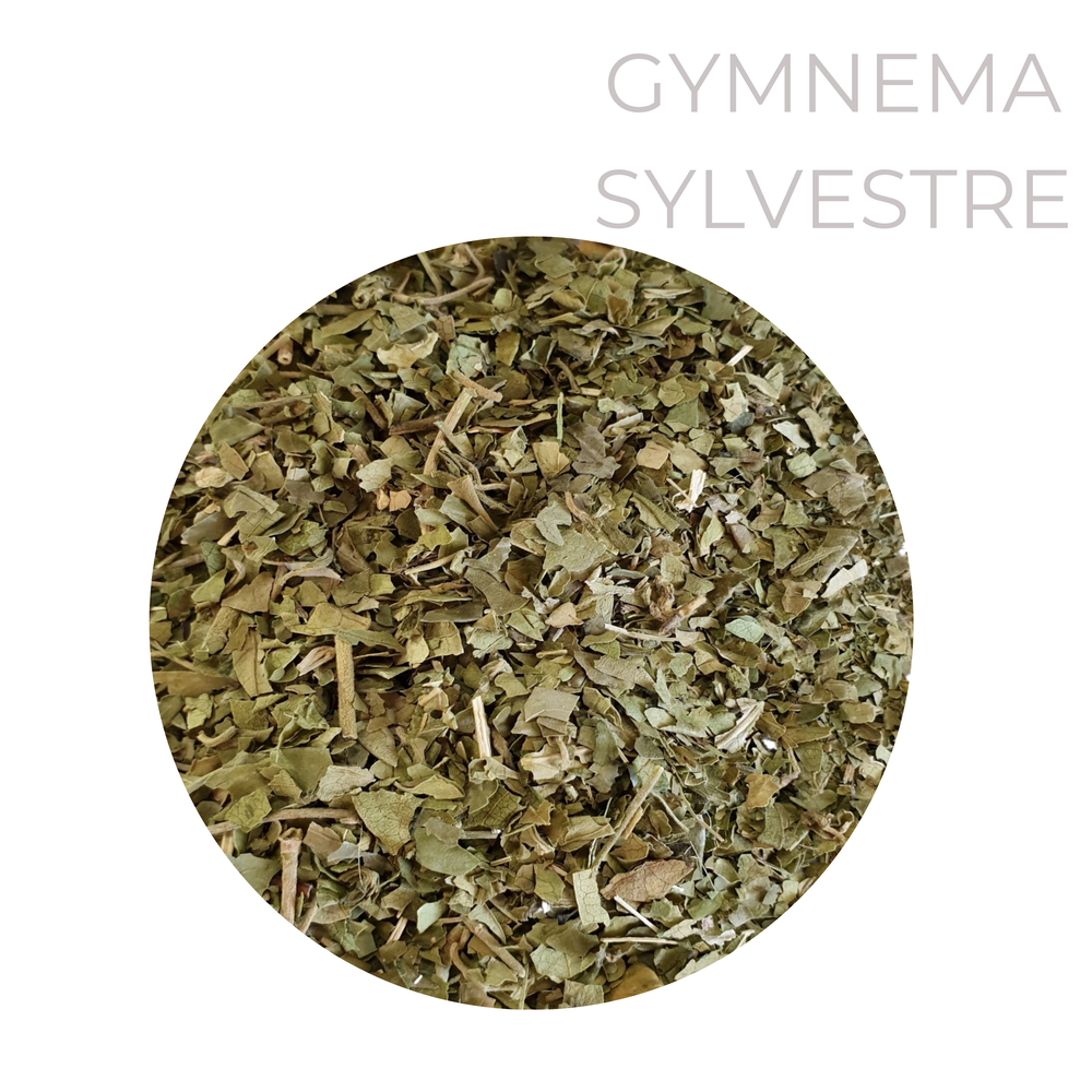 Gymnema (Gymnema sylvestre) Βότανο