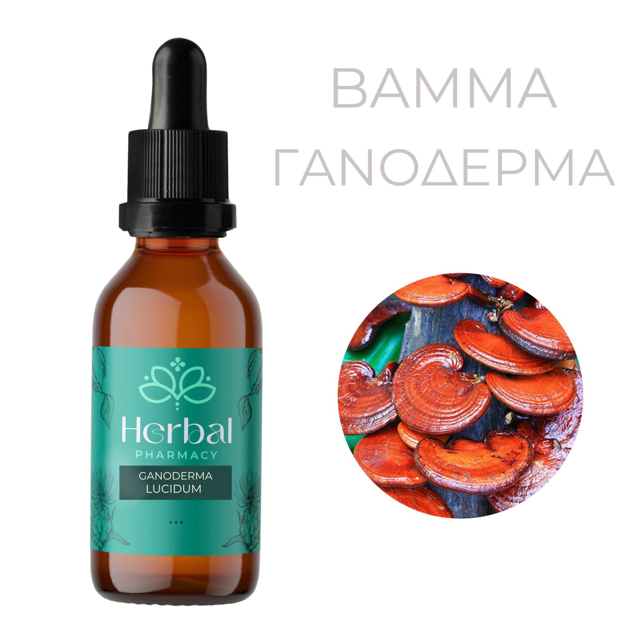 Γανόδερμα (Ganoderma lucidum) Βάμμα